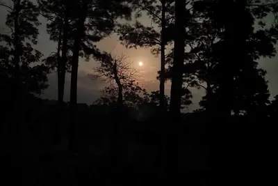 Image de Charming 2-bedroom cottage in the magical Lost Pines forest with Ac, WiFi