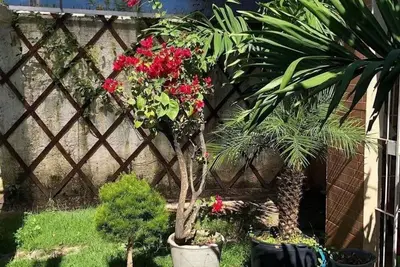 Image de A Joia de Olinda