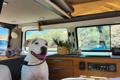 Image de Camp in a sun-powered, classic Vw