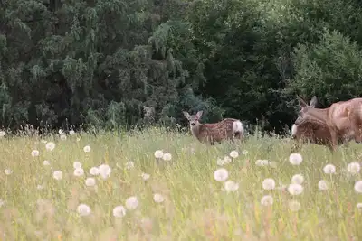 Image de Peaceful guest accommodation with private patio and beautiful view