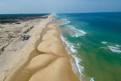 Image de Maison Familiale au Milieu des Pins à Biscarrosse - 6 Pers, 300m du Lac, Ménage Inclus