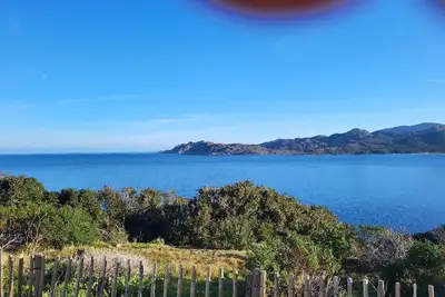 Image de Authentique Moulin à huile du Xviii° siècle dans oliveraie de 50 ha en Balagne.