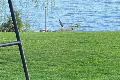 Image de Camper or Rv full hookup on Lake Centralia