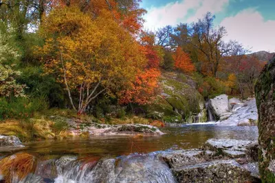 Image de House With Private Natural Pool\nPET Friendly\n7 Km COVILHÃ \n3 Km Penhas Saude