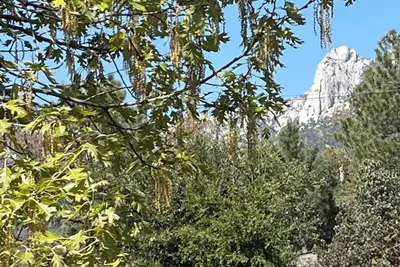 Image de 3-Bedrooms in Idyllwild - Ac, \nJacuzzi, Sauna, Fitness-Game Room, Epic Views