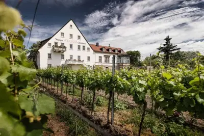 Image de Apartment\/apartment, bath, Wc, balcony - Weingut - Gästehaus Völcker