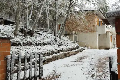 Image de Cozy little house in the woods! Relax, breathe, reconnect with Nature.