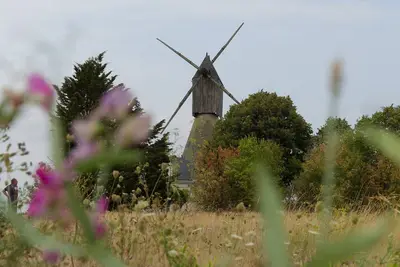 Image de Calme et paisible à la campagne dans le val de Loire