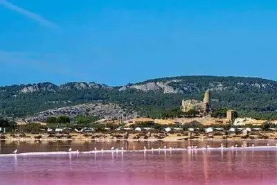 Image de Jolie Appartement Gruissan