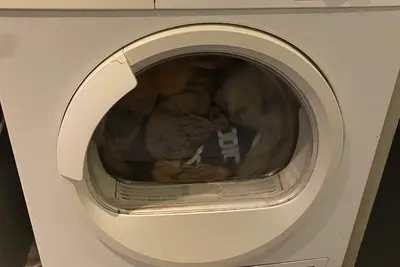 Image de Appartement sécurisé Tml Tomorrowland avec taxi 24h/7 inclus