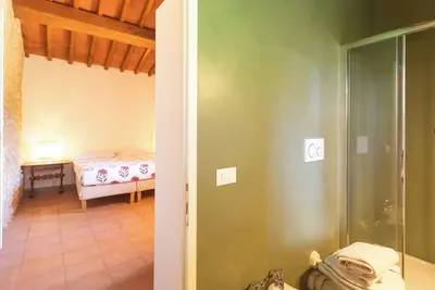 Image de Bright barn vine view