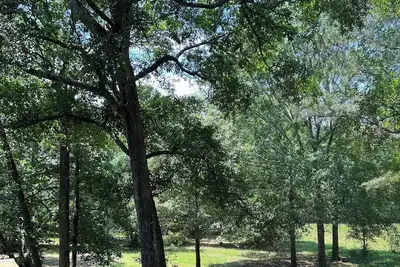 Image de Forest Family House