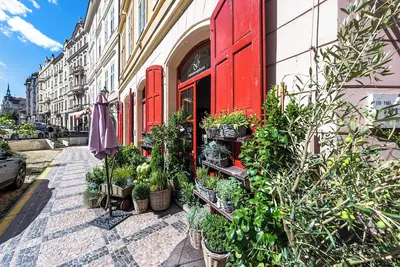 Image de Cozy apartment in the Old Town