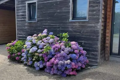 Image de Belle Maison en Bretagne sud en bord de mer