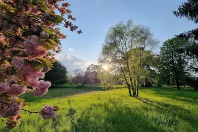 Image de Pavillon exceptionnel avec un accès direct au parc du Château Royal de Benays
