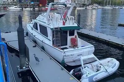 Image de 46’ motor yacht (6 hour charter tour)