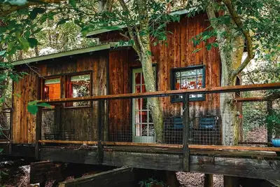 Image de Treetop Hideaways: The Elements Treehouse