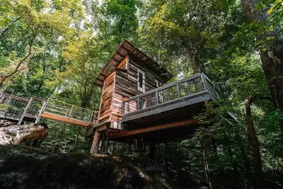 Image de Treetop Hideaways: Luna Loft Treehouse