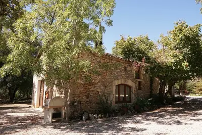 Image de Libellule - Cremps - Gîte