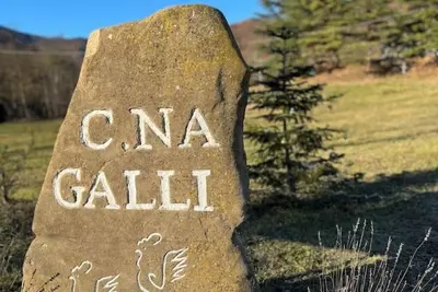 Image de Apartment in Langa Astigiana farmhouse Cascina Galli