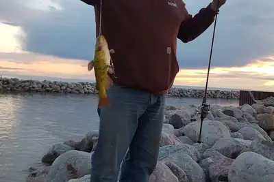 Image de Beautiful Lakeview Cabin, quiet location, gorgeous sunsets & close to Beaches