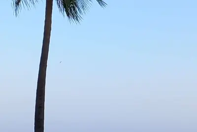 Image de Traumhafter Meerblick - Ferienunterkunft mit Allen Annehmlichkeiten