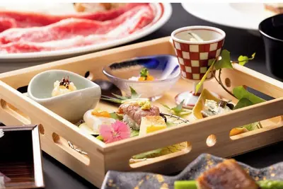 Image de Deluxe Hollywood Twin with hot spring vs |  / Takeo Saga