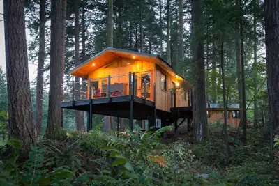Image de Luxury Tree House into the Heart of Washington