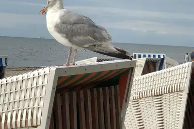 Image de Ferienresidenz Erik, Wohnung 2