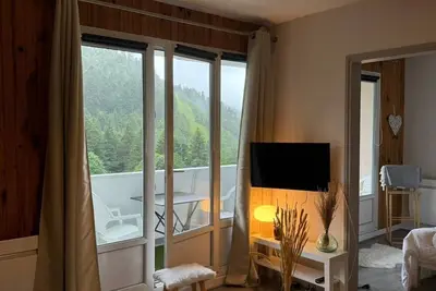 Image de Location appartement pied pistes La Bresse Vosges