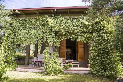 Image de Amid olive trees, Bbq, garden, parking, 10 min to centre & motorway
