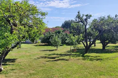 Image de Gîte 6 personnes dans un écrin de verdure.