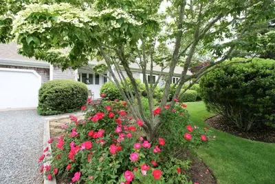 Image de Beautiful Cape Cod Summer Home