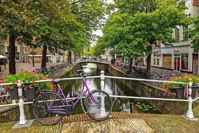 Image de An Urban Residence Just 5 Minutes From Jordaan