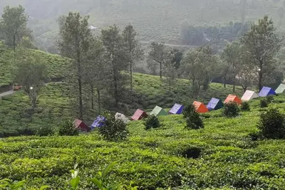 Image de Soothing Tent Camping campground in Meppadi