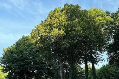Image de Coin de Paradis à 1 heure de Paris