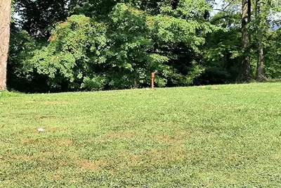 Image de Delightful campground in Andrews on the river.