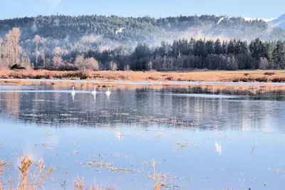 Image de Country Comfort Suite Retreat