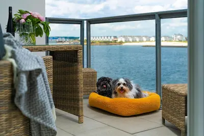 Bel appartement à Olpenitz avec WiFi