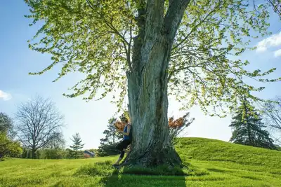 Image de Minutes From Quad City International Airport