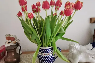 Image de Appartement de vacances Warburg pour 1 - 4 personnes avec 1 chambre à coucher - Appartement de vacan