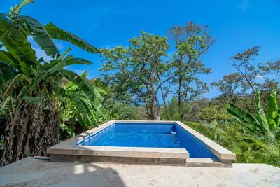 Image de Luxury Ocean View King Oasis w/Pool, Patio, & short walk to Beach
