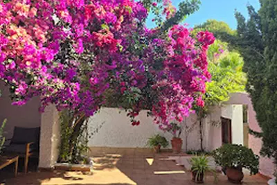 Image de Villa Beatrice, Tres Proche De La Plage Del Portet Et Du Port De Moraira