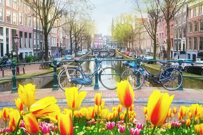 Image de In the tree lined streets of Amsterdam-A stones throw from Vondelpark