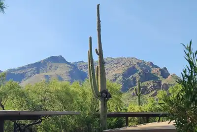 Image de Your Serenity in a Sonoran Oasis