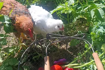 Image de Maison de vacances pour 4 a Nykvarn