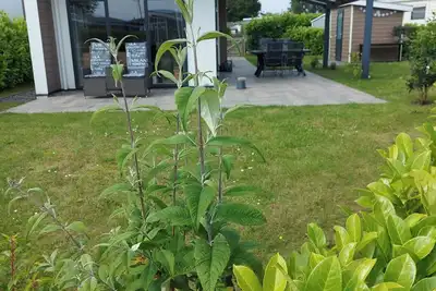 Image de Schönes Ferienhaus in Holland am See, im Ferienpark mit Schwimmbad uvm
