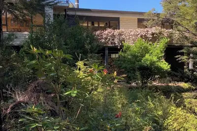 Image de Bush and birdsong at spacious home-away-from-home, just minutes from lake shore