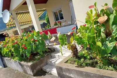 Image de Ti kaz anturium