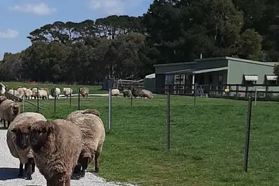 Image de Farmstay at Fleece, Flock & Fibre an historic railway station in Taralga